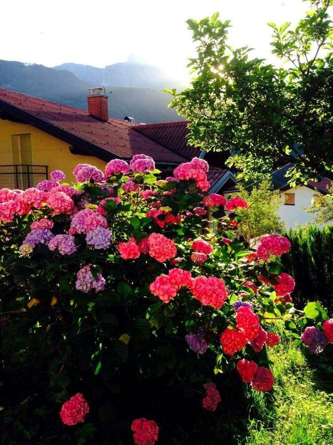 Cosy Cottage With Views Near Kobarid Exterior photo